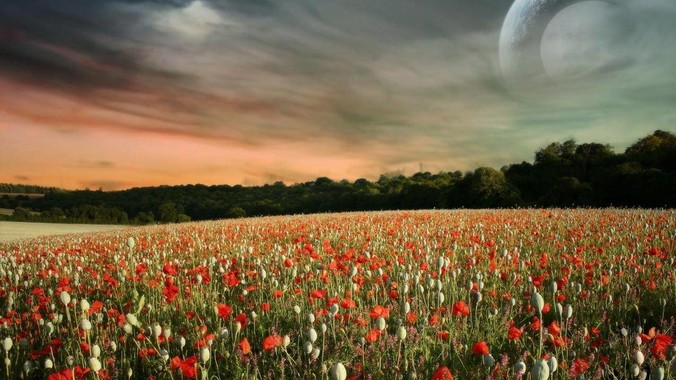 眼睛有飞蚊症可以自愈吗?